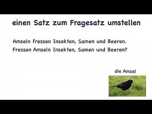 Satzglieder: einen Satz zum Fragesatz umstellen