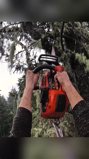 Mastering Wood Cutting Techniques for Tree Work