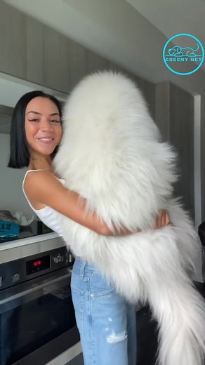 Les 4 races les plus facile à adopter par les femmes #chien #chiot #fblifestyle | Cheeny Chien