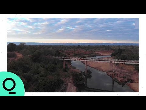 Faulty Credits Tarnish Billion-Dollar Carbon Offset Seller