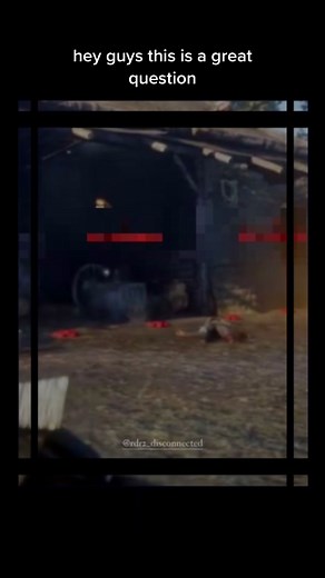 How to Blur Using Key Frames in RDO Editing | Edit Tips