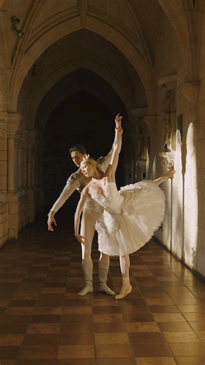 6.1K views · 122 reactions | MAKING MEMORIES // “Swan Lake" must have...