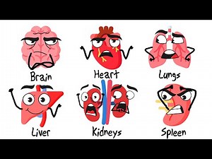every human organs explained in 7 Minutes