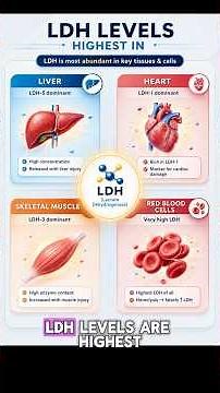 Clinical Chemistry - LDH Levels