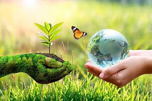 Pengertian Lingkungan, Ekosistem, dan Etika Lingkungan, Geografi Kelas 11 SMA | Kids