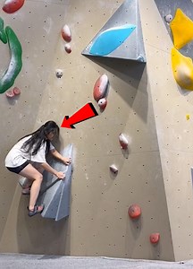 Adults In The Playground | Darcy Donavan