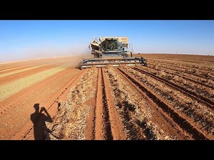 Harvesting rocks
