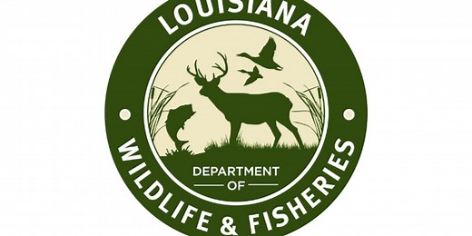 Potential Changes to the 2025-26 Louisiana Hunting Season