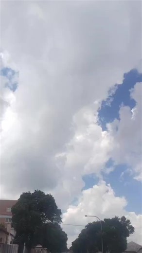 Exploring the Lowered Lifestyle and Car Culture