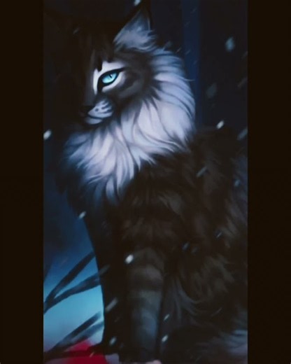 Hawkfrost edit 4 my bff @Bumblebee:3