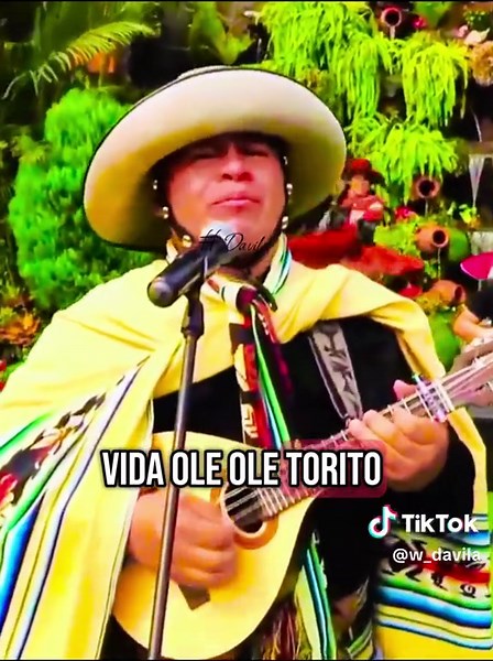 hermanos chavez como la vez #hermanoschavez #canto #mandolina #guitarra #guitarra #sierra #2025 #musica #andina #huayno @FRANK