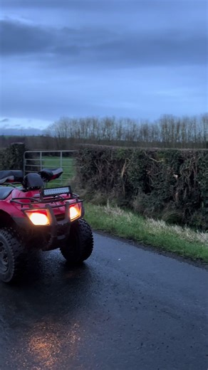 The Thrills of 2 Fiddy: A Honda Quad Adventure