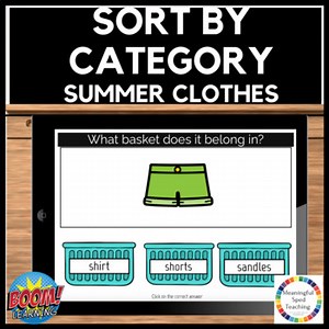 Summer Vocational Sort the Laundry (word to picture) Life Skills Boom Cards™