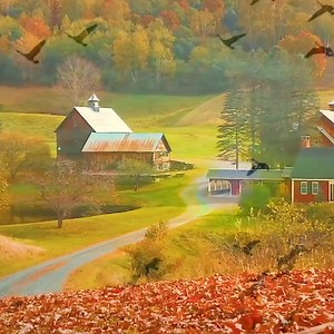 10K reactions · 1.4K shares | Tim Janis on Reels | Facebook