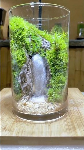 Waterfall Terrarium DIY #waterfall #terrarium