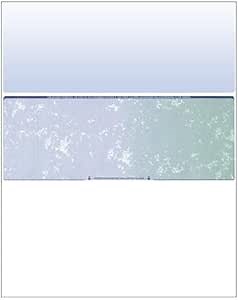 Business Voucher Check Stock - Computer Laser Checks - 1000 Sheets, Check in Middle, Blue/Green Prismatic