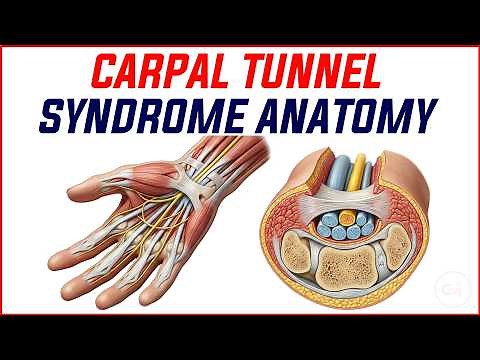 Carpal Tunnel Syndrome Anatomy (Animation) | USMLE Step 1 | Median Nerve Compression Explained