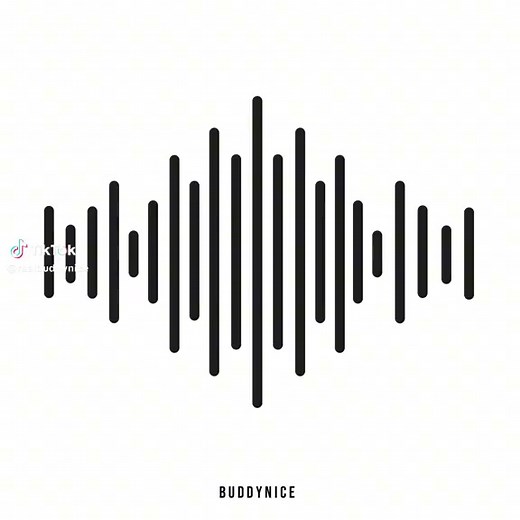 Buddy Nice Dreams: Afro Mix for House Music Lovers