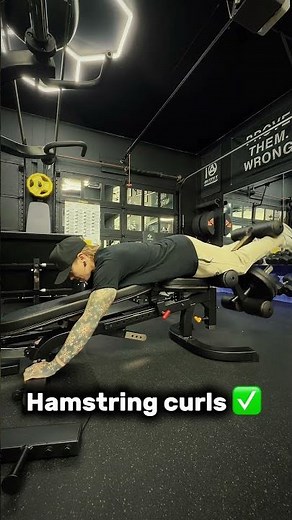 Powertec WorkBench Lever Gym in action!