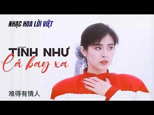 Tình Như Lá Bay Xa | 难得有情人 • 王祖贤 | Nhạc Hoa Lời Việt