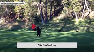 Animals and golf don’t mix
