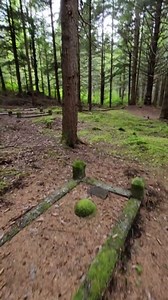 Touring the Abandoned Cemetery From the Largest Ghost Town in Canada, Anyox BC
