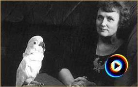 Hindsight by Mercedes Lackey