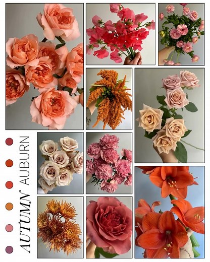 1.4K views | Potomac Floral Wholesale on Reels | Facebook