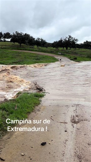 Videos de Del cerdo hasta sus andares (@d.cast2) con “Lavirgendelacueva en modo automático - 🅼🅰🆁🅸🅾81🅼🅱”