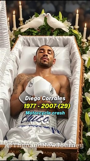 Remembering 9 Boxing Heroes Gone Forever | Champions Tribute #shorts #tribute