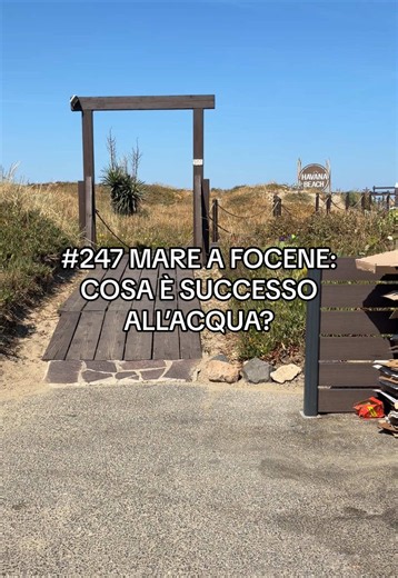 Mare a Focene: Havana Beach — prezzi, servizi e acqua (guida)