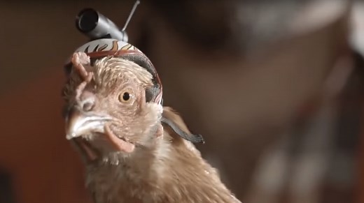 Gute Werbung: Diese Werbespots bleiben im Gedächtnis