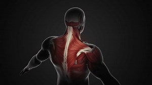 Pain Injury Trapezius Muscles Stock Footage Video (100% Royalty-free) 1109835281 | Shutterstock