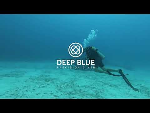 DEEP BLUE WATCHES- PRO SEA DIVER 1000 METER CHALLENGE