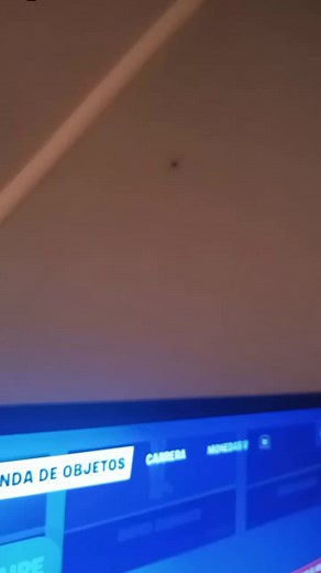 Exploring Red and White Insect Screens in Detail