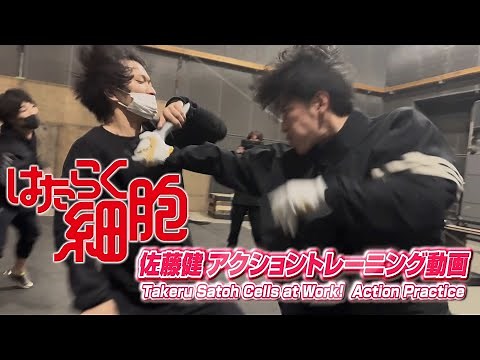 はたらく細胞 佐藤健アクショントレーニング動画 / Takeru Satoh Cells at Work! Action Practice
