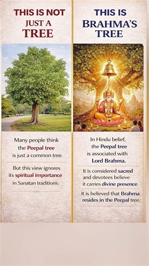 What is Brahma’s Tree? 🌳 | The Sacred Peepal Tree Explained #SanatanDharma #PeepalTree #LordBrahma