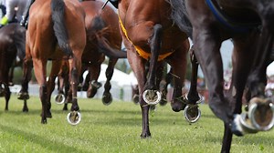 “All in on racing”: SEN to acquire RSN assets