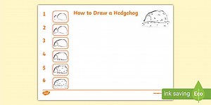 How to Draw a Hedgehog