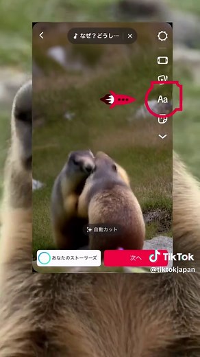 簡単にできる音声読み上げ機能とは？