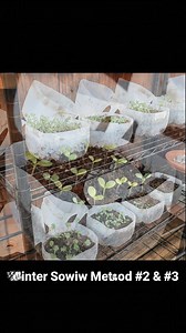 I started growing vegetables using old plastic jugs, stacking them in tiers to save space. A few weeks later, everything was thriving. This simple garden setup is something I truly wish I had discovered much earlier. | Tiny Secret Gardens