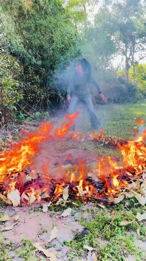 Essential Survival Skills for Forest Adventures