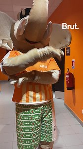 212K views · 7K reactions |  On sait désormais que le “Coup du marteau” de Tamsir est désormais l’hymne officieux de cette CAN 2023. On a demandé à la mascotte Akwaba de nous montrer la danse  | Brut Afrique | Facebook