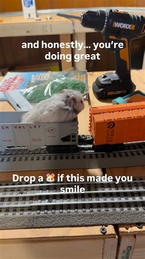 Sarah Chamings on Instagram: "Just a hamster, a train, and absolutely no idea where we’re going 🐹🚆 Employee of the month? I think yes. Comment 🐹 if this made you smile. #hampster #hamsterlife #modeltrain #reelscanada #petreels"