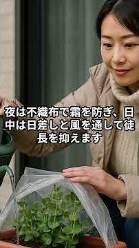 冬に育てて春に収穫するグリーンピース栽培と旬を楽しむコツ #家庭菜園