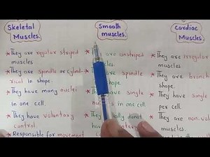 Muscles | Types, Structure & Functions | Class 11 Biology New PTB 2025 | Yousuf Biology Academy