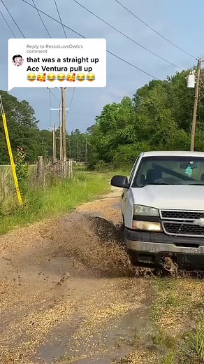 803K views · 10K reactions | This getting out of hand 藍 | Carnell Nichols Jr. | Facebook