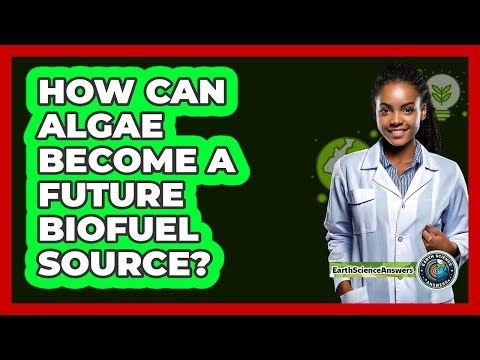 How Can Algae Become A Future Biofuel Source? - Earth Science Answers
