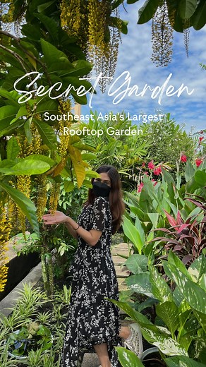 The name ‘Secret Garden’ perfectly describes this place. 🪴 It’s the largest rooftop garden in Southeast Asia, with a total area of 30,000 square feet and 500 species of exotic flora! Each plant is embedded in bio-carbon soil and meticulously nurtured by a team of renowned Malaysian botanists. 🌿 📍Secret Garden, 1 Utama Shopping Mall, Petaling Jaya #secretgarden #secretgardenoneutama #oneutama #petalingjaya #discoverkl #travelmalaysia | Discover KL