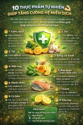 10 Thực Phẩm Tự Nhiên Giúp Tăng Cường Hệ Miễn Dịch